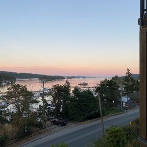 Meet your Posher, Sophie